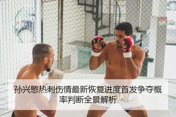 孙兴慜热刺伤情最新恢复进度首发争夺概率判断全景解析